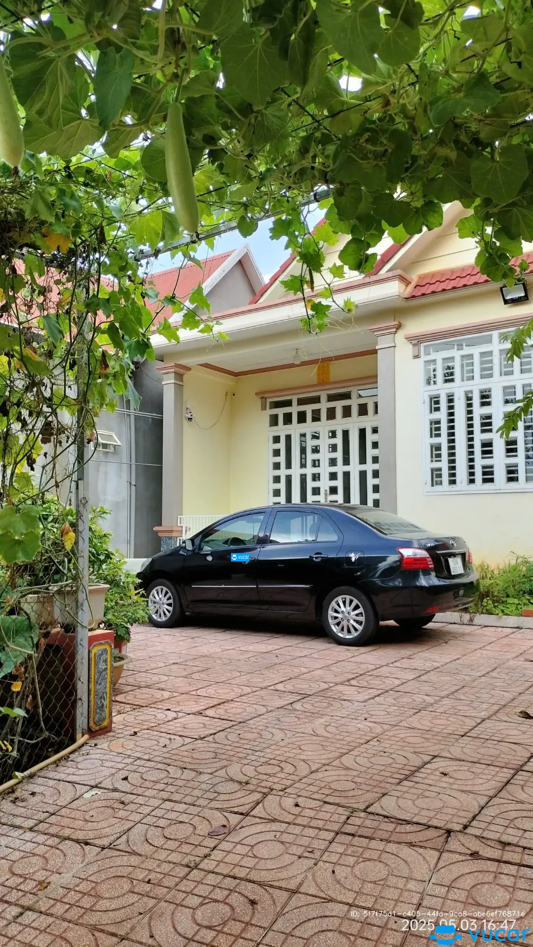Ảnh xe Toyota Vios E 2011 - ảnh 3