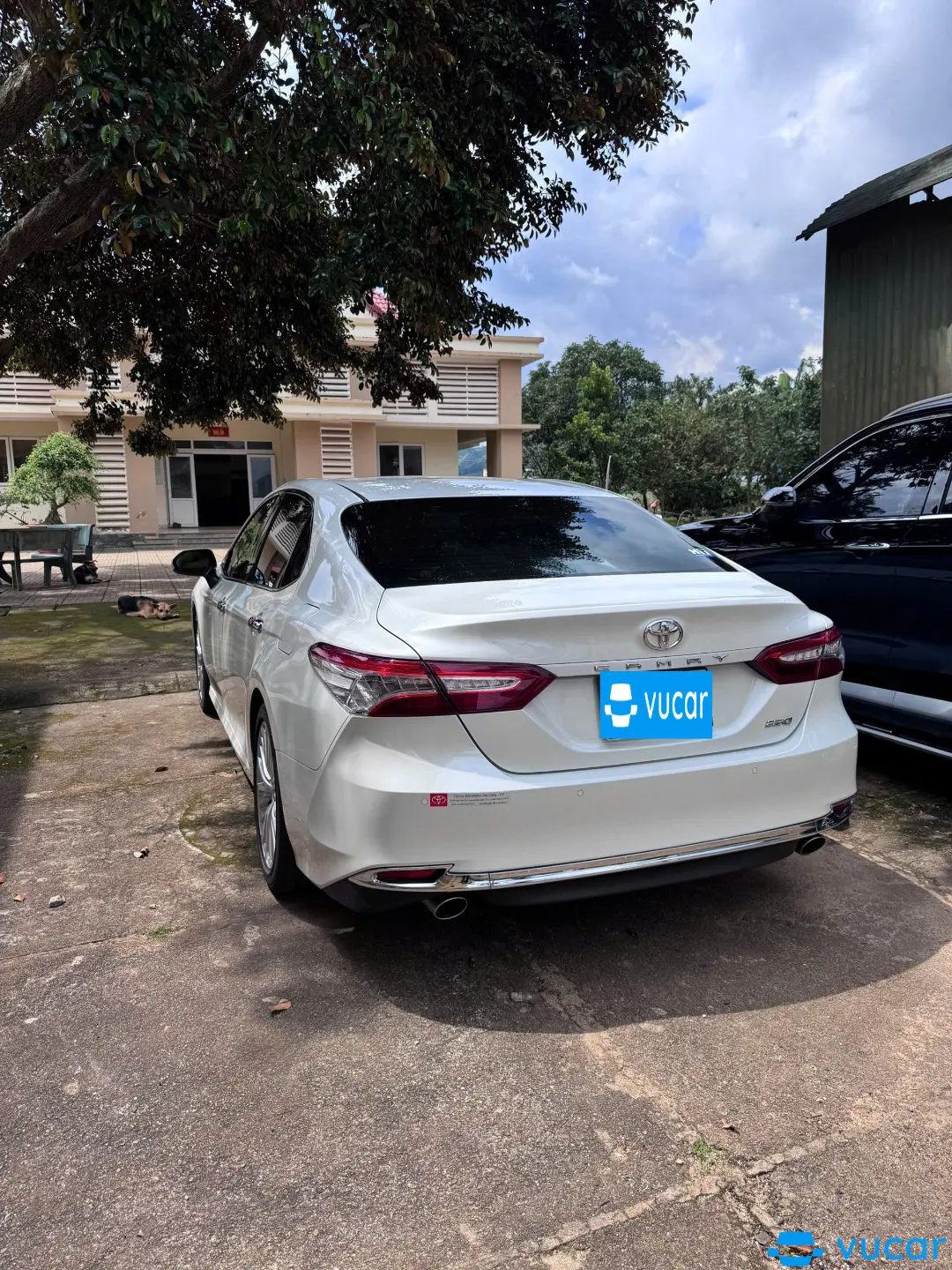 Toyota Camry 2.5Q 2020 - Ngoại thất 2