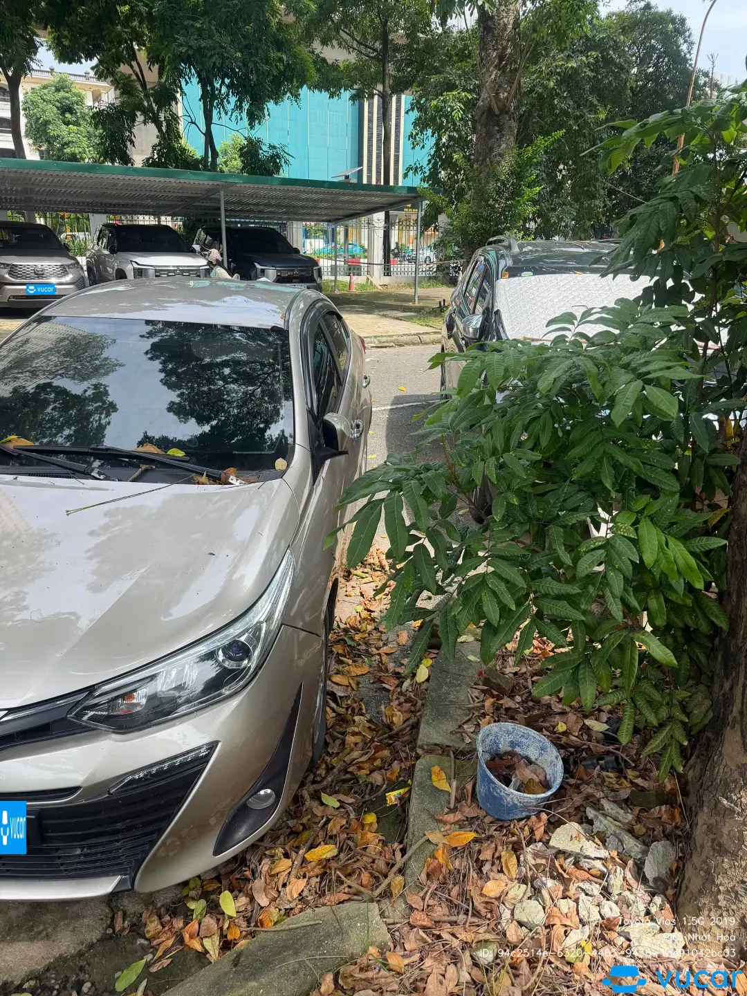 Ảnh xe Toyota Vios 1.5G 2019 - ảnh 2