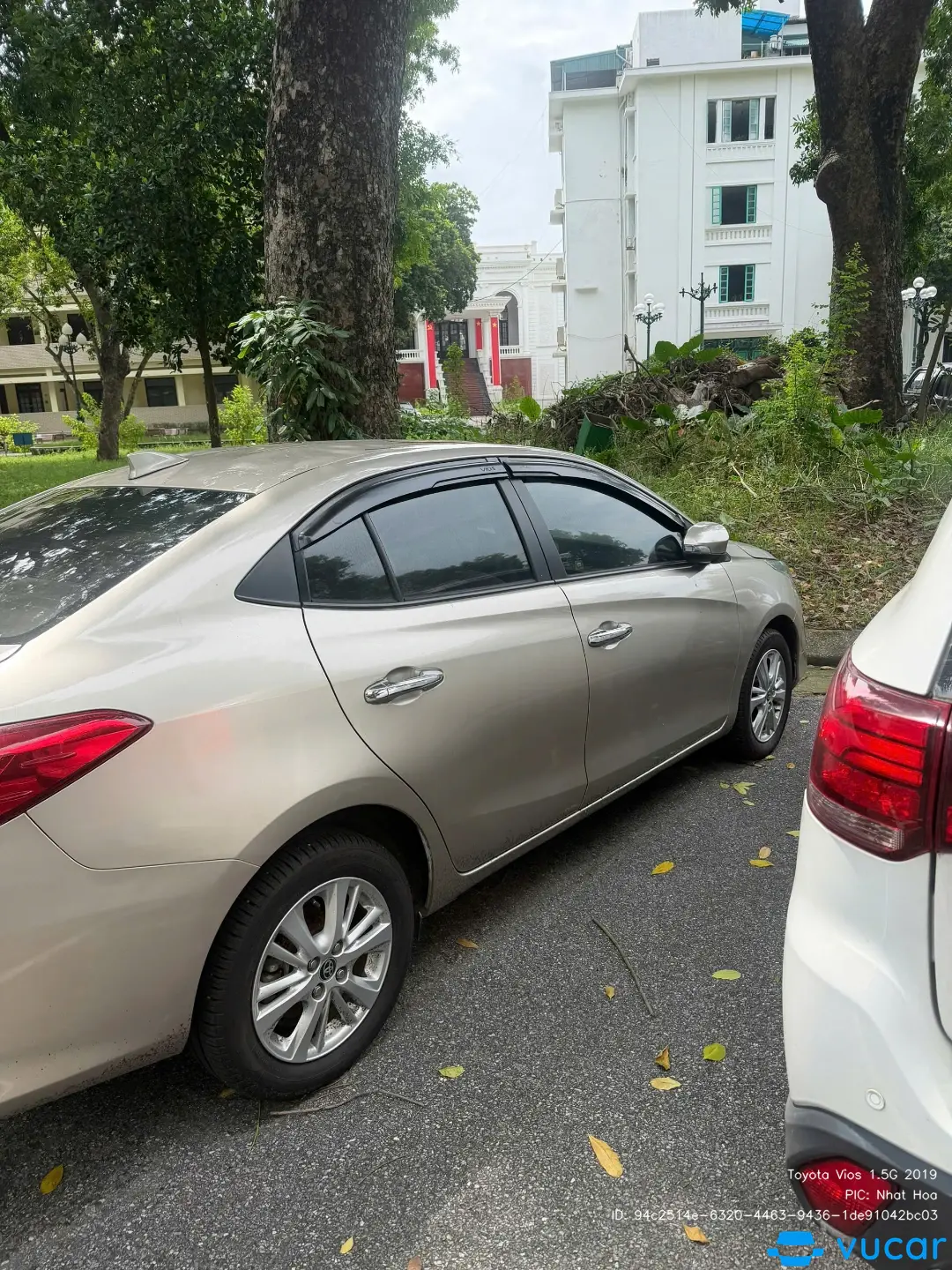 Ảnh xe Toyota Vios 1.5G 2019 - ảnh 5