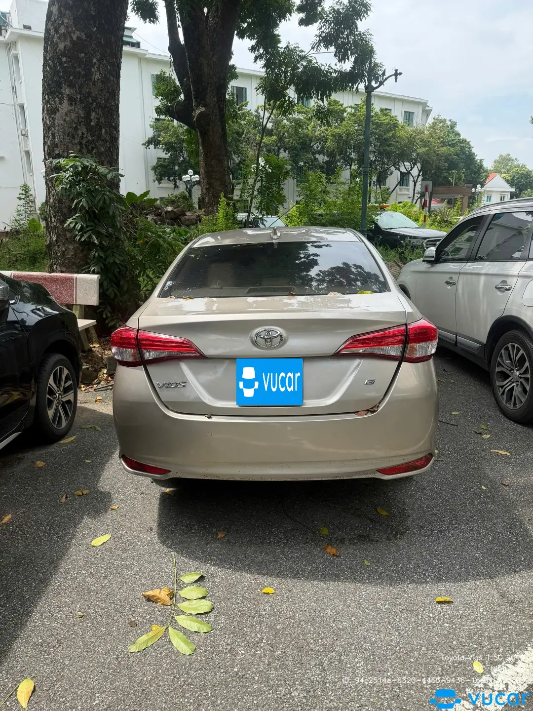 Ảnh xe Toyota Vios 1.5G 2019 - ảnh 4