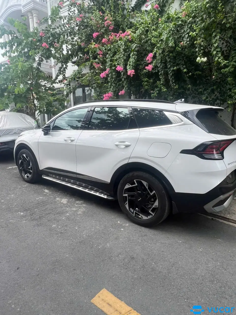 Ảnh xe Kia Sportage Signature 2.0G 2024 - ảnh 3