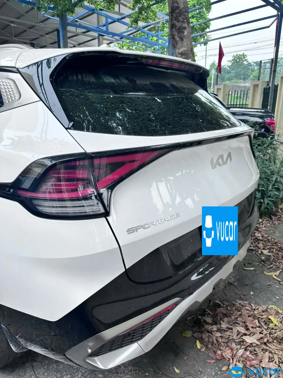Ảnh xe Kia Sportage 2.0G Premium 2024 - ảnh 3
