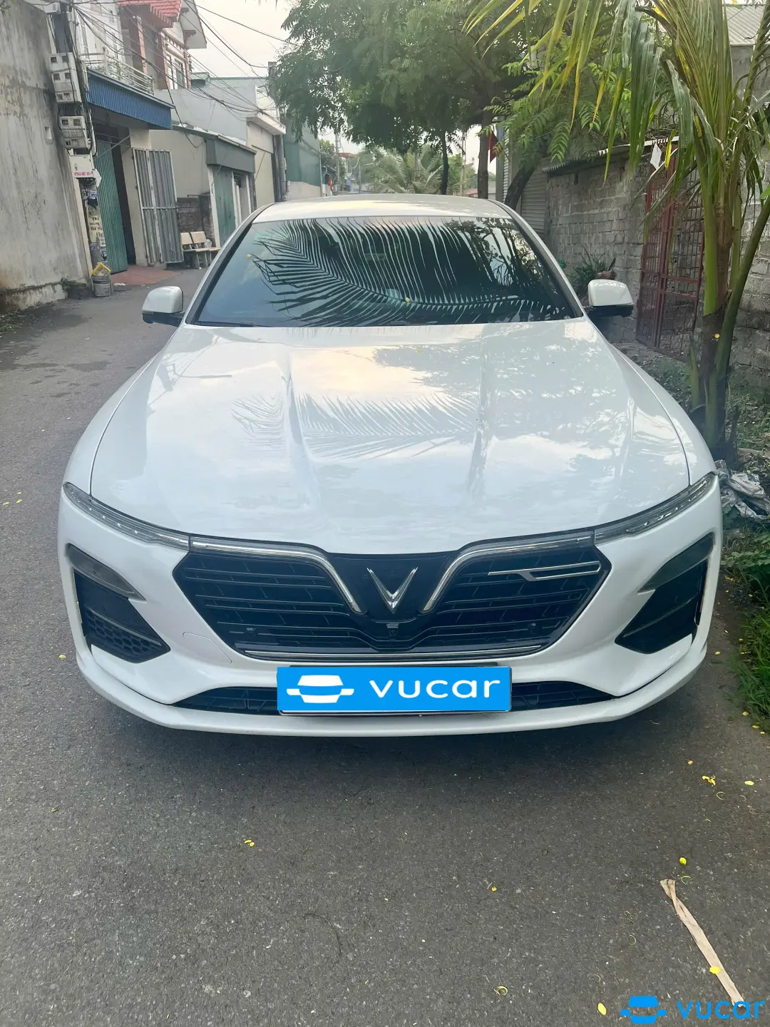Ảnh xe VinFast Lux a 2.0 Plus 2.0 AT 2020