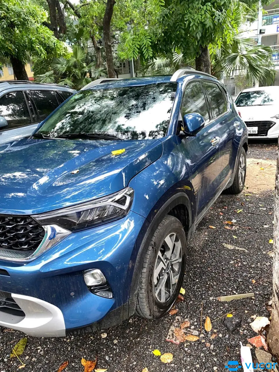 Kia Sonet Premium 2024