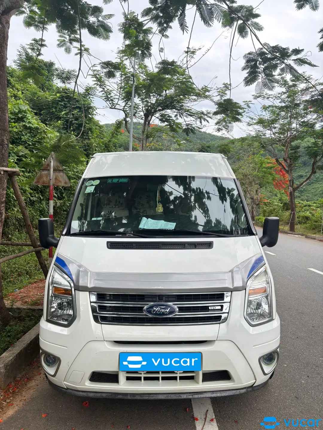 Ảnh xe Ford Transit Luxury 2015