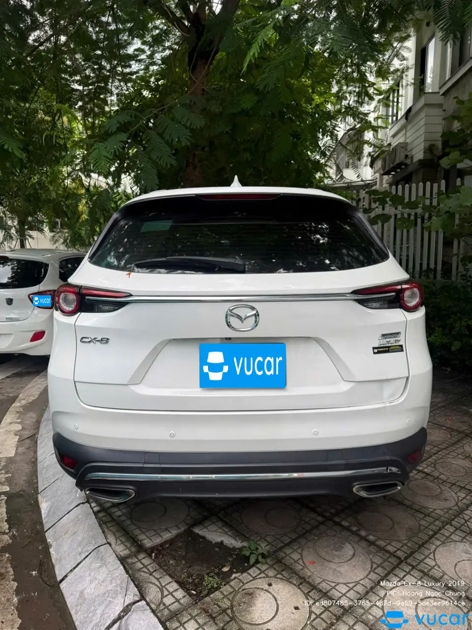 Ảnh xe Mazda Cx-8 Luxury 2019 - ảnh 2