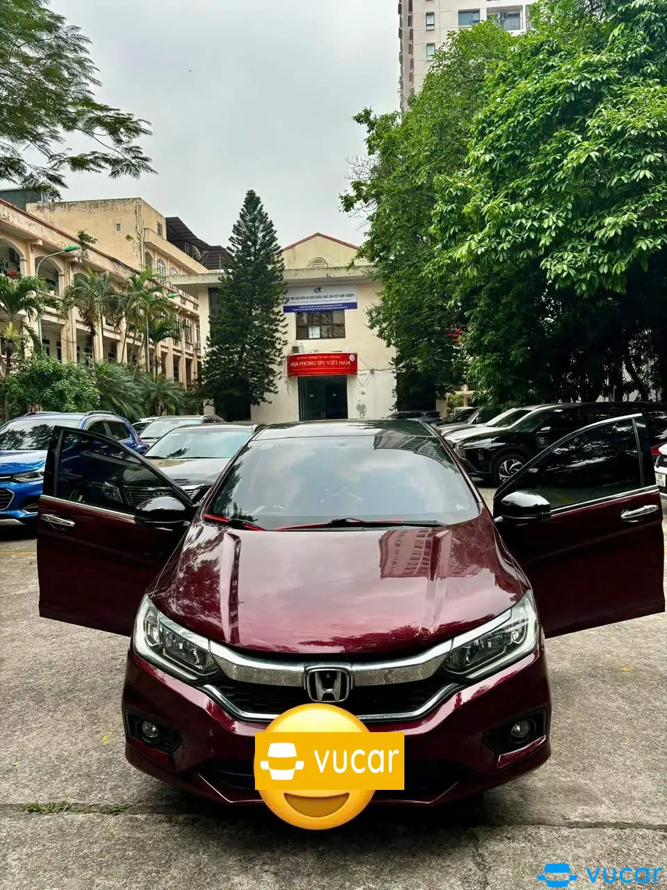 Ảnh xe Honda City 1.5TOP 2017