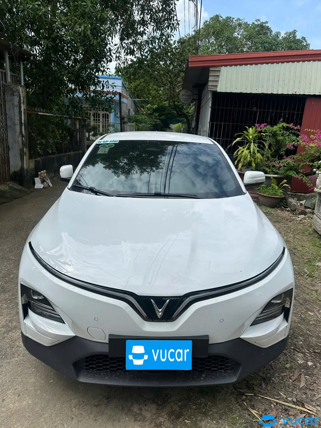 Ảnh xe Vf6 eco 2024