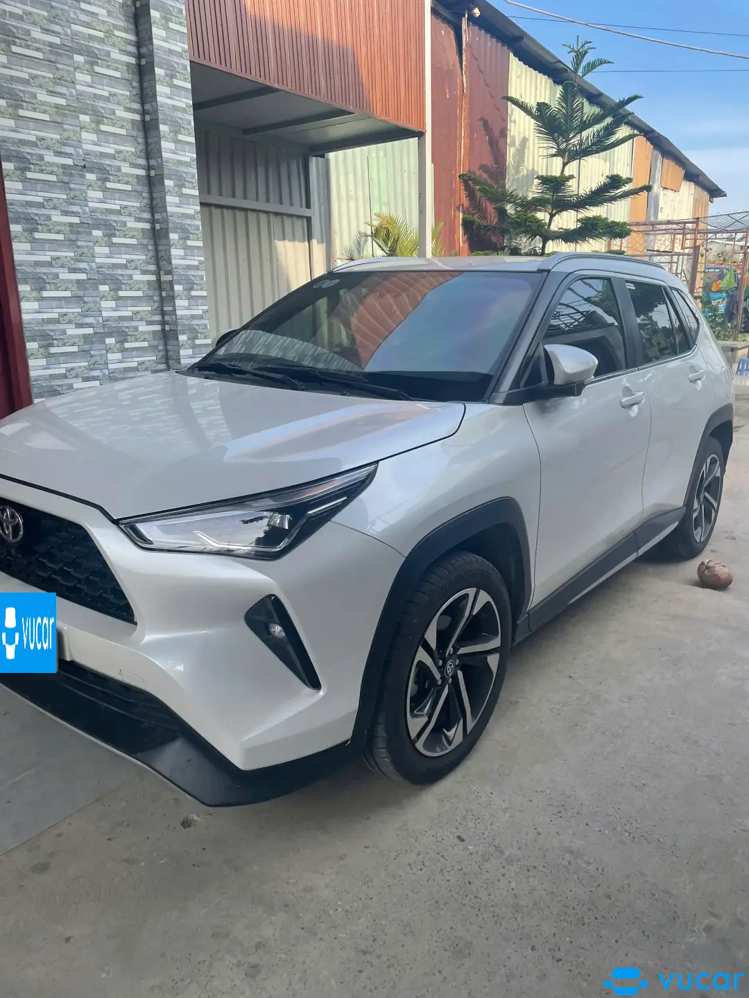 Ảnh xe Toyota Yaris cross 1.5 2024