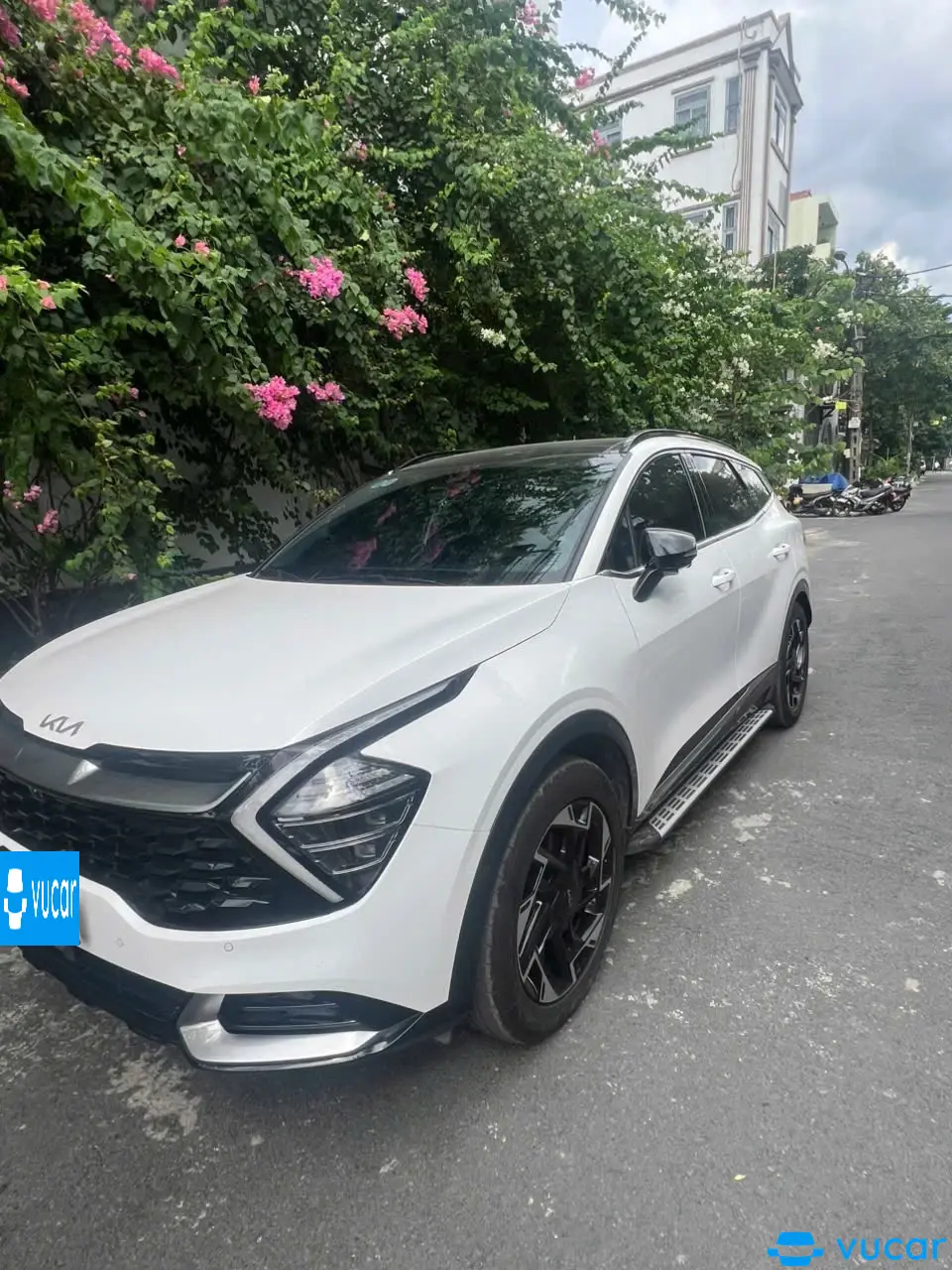 Ảnh xe Kia Sportage Signature 2.0G 2024