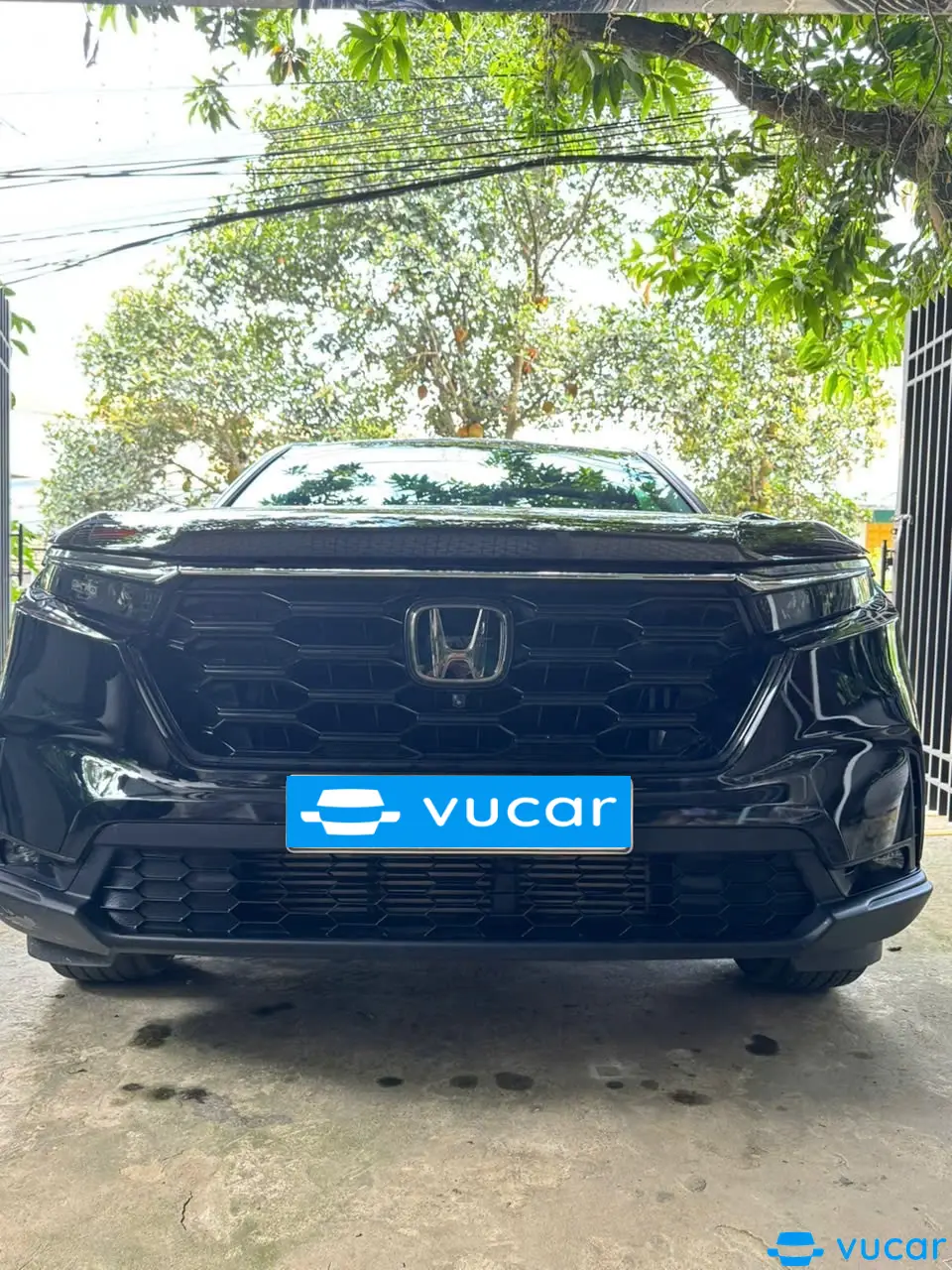 Ảnh xe Honda CRV L 2024