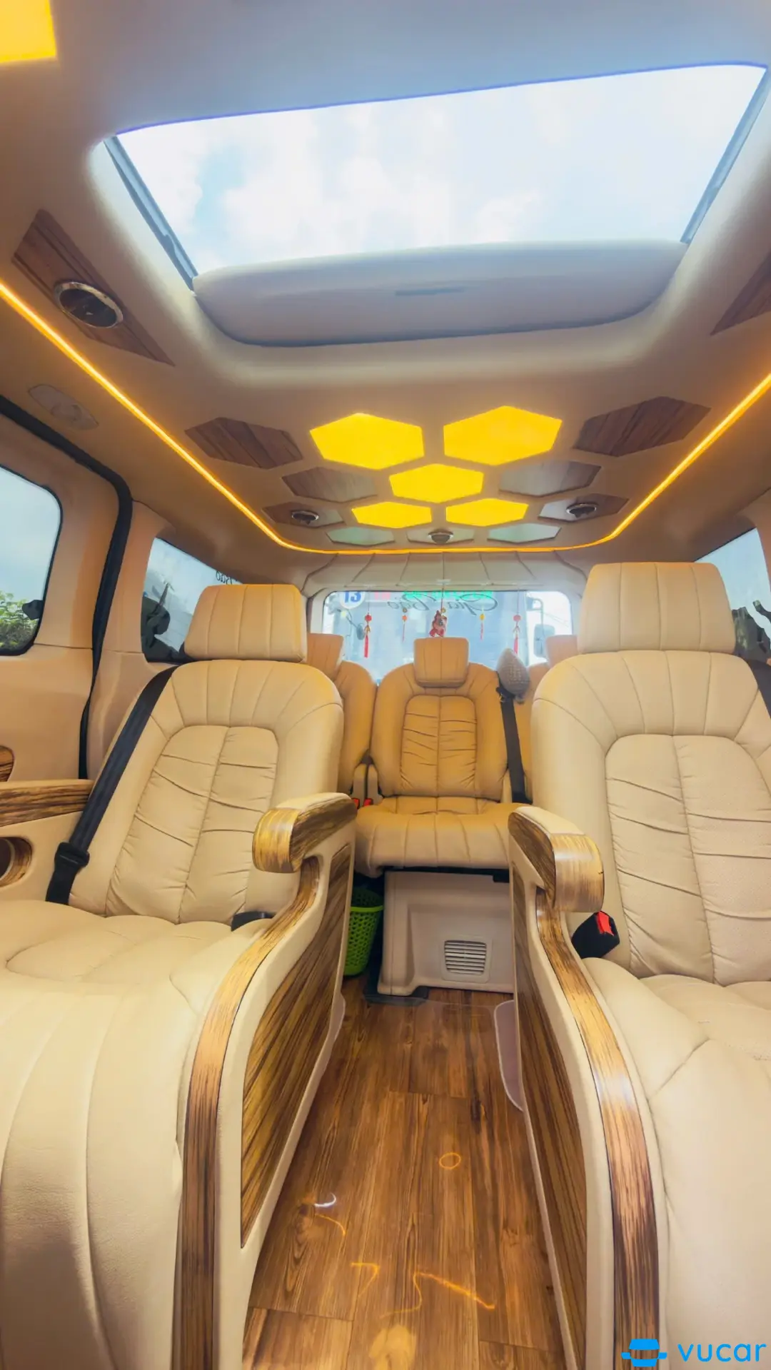 Ảnh xe Ford Tourneo Limousine 2019 - ảnh 4