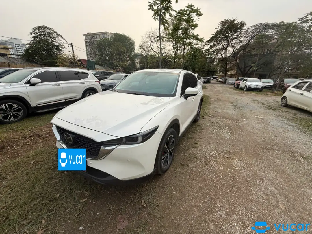 Cx5 at 2024