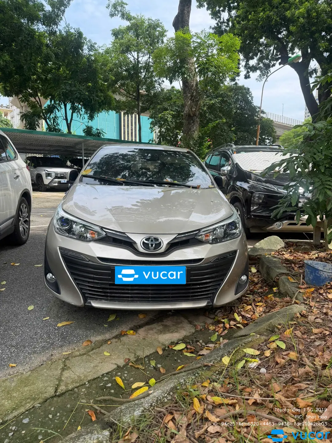 Ảnh xe Toyota Vios 1.5G 2019 - ảnh 1