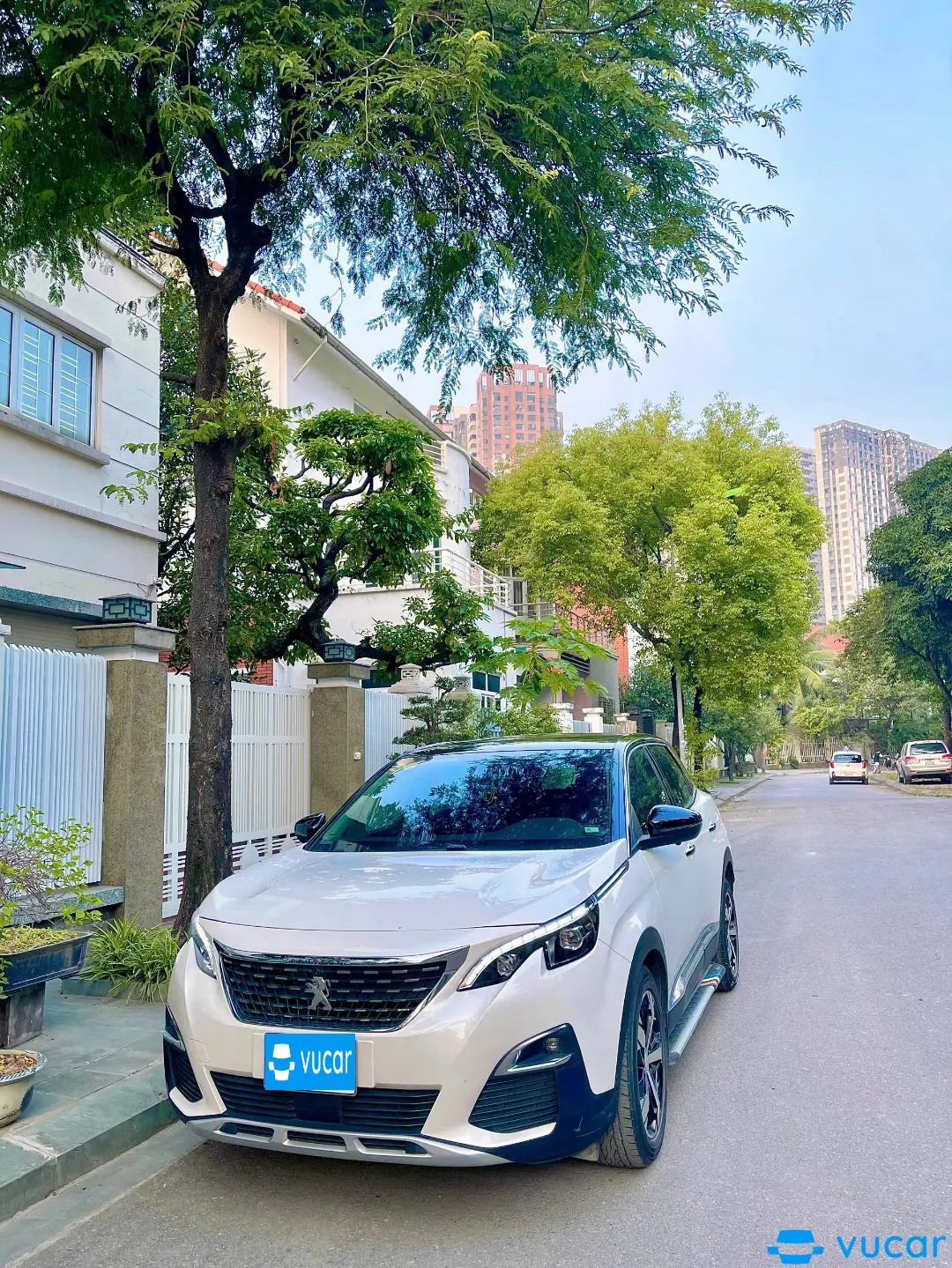 Ảnh xe Peugeot 3008 1.6 AT 2019