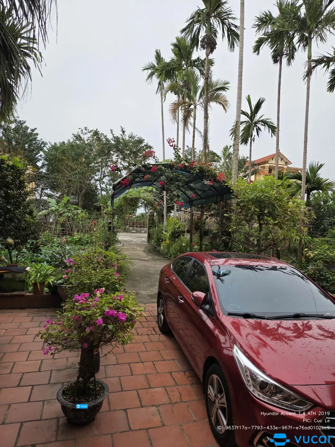 Ảnh xe Hyundai Accent 1.4 ATH 2019 - ảnh 4