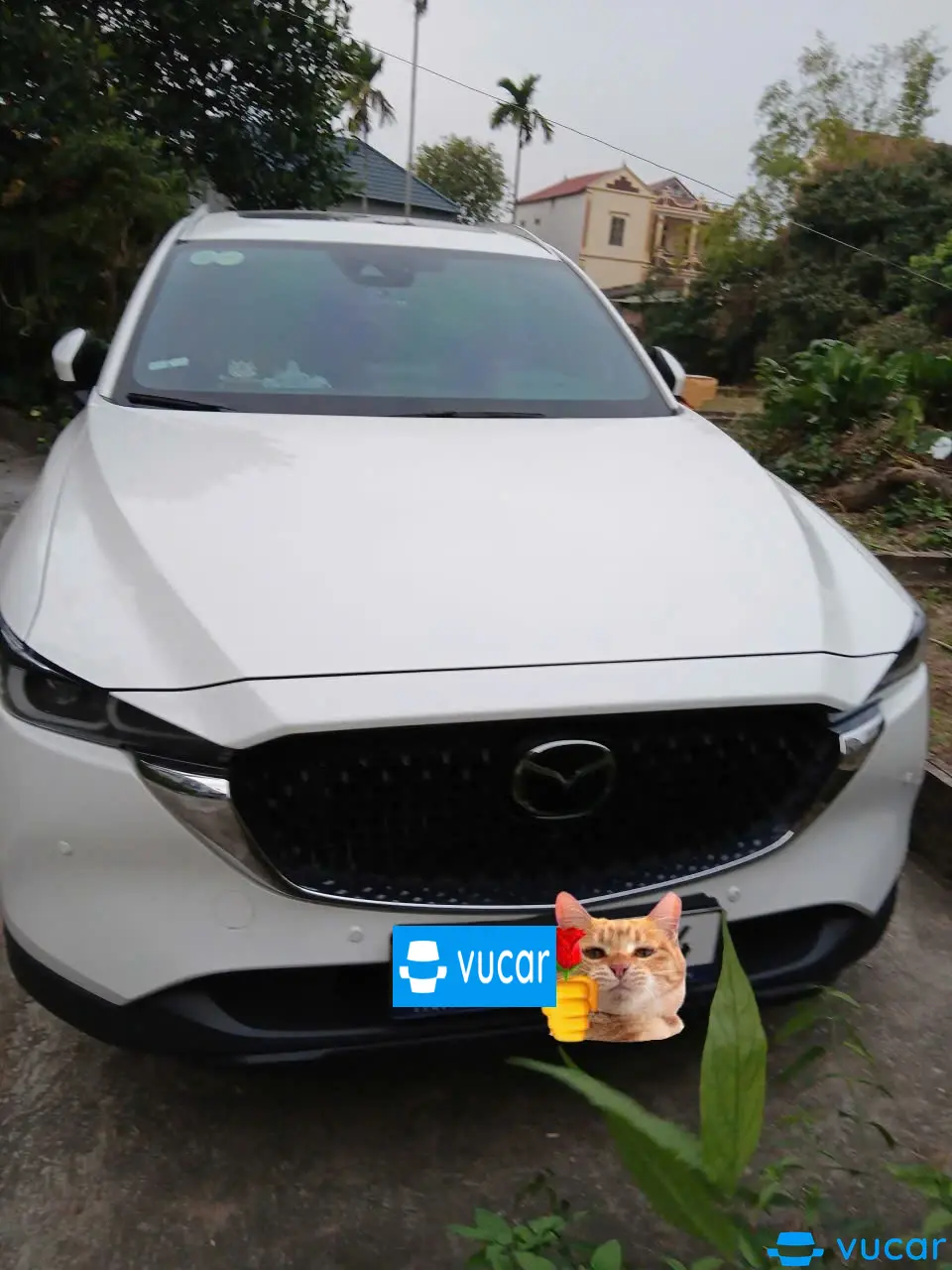 Mazda CX-8 Premium 2025 - Ngoại thất 2
