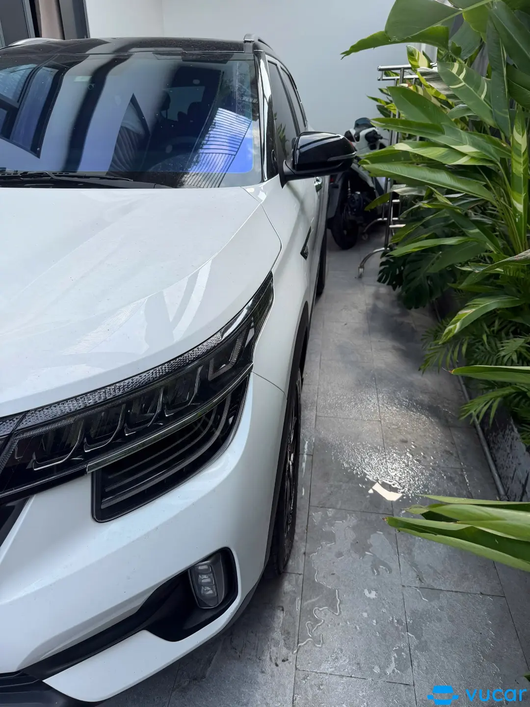Kia Seltos 1.4 AT Premium 2023  - Ngoại thất 4