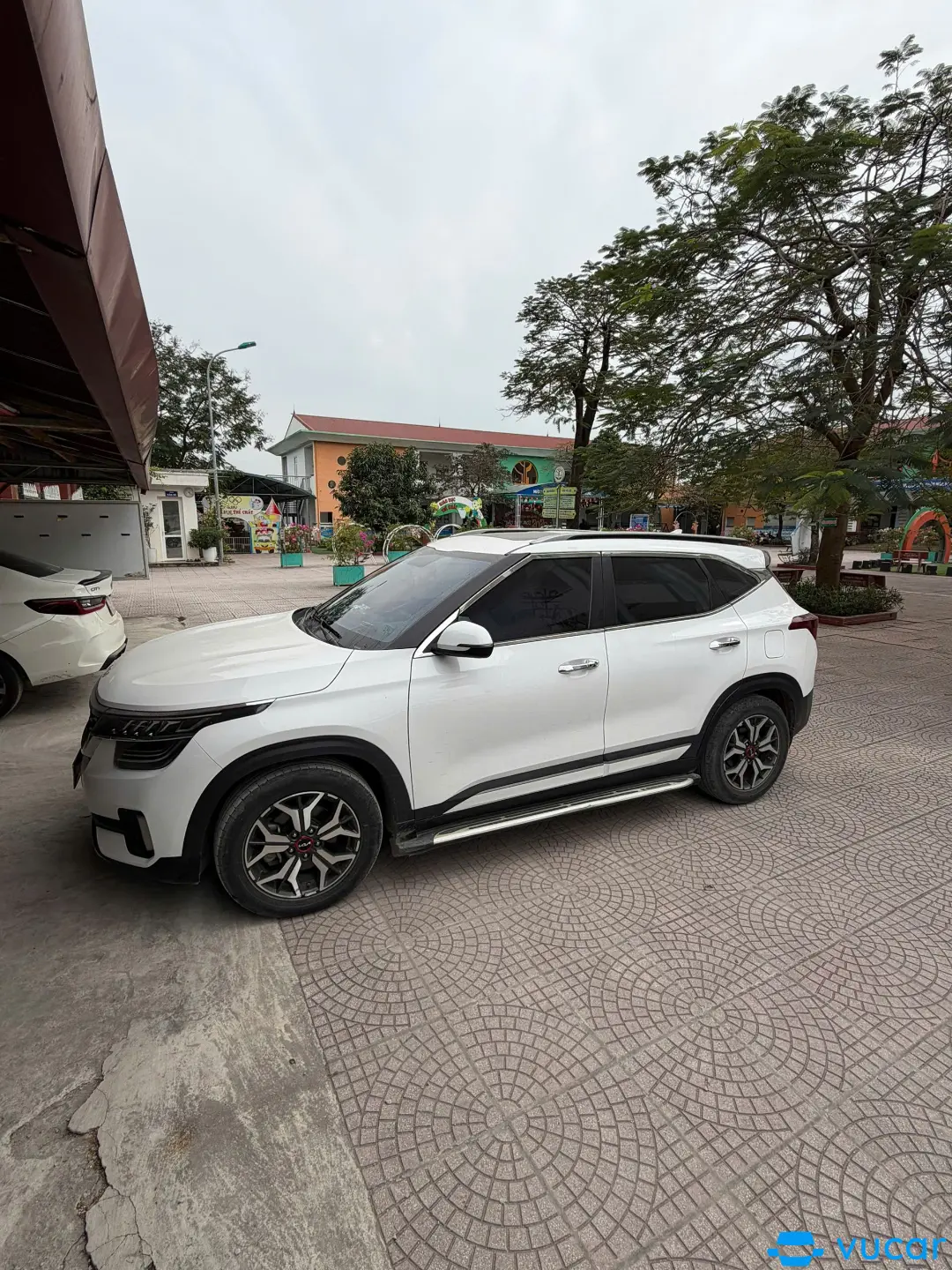 Kia Seltos Premium 1.6 AT 2021 - Ngoại thất 2