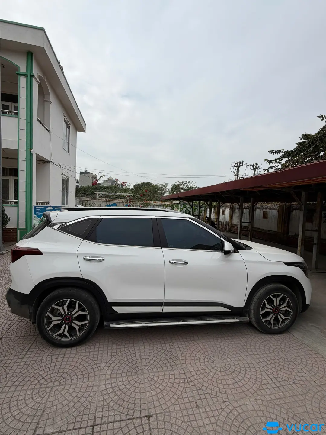 Kia Seltos Premium 1.6 AT 2021 - Ngoại thất 3