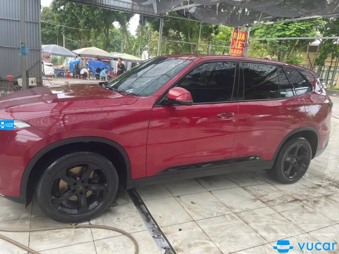 vinfast lux sa 2.0 Base 2.0 AT 2021 - Ngoại thất 6