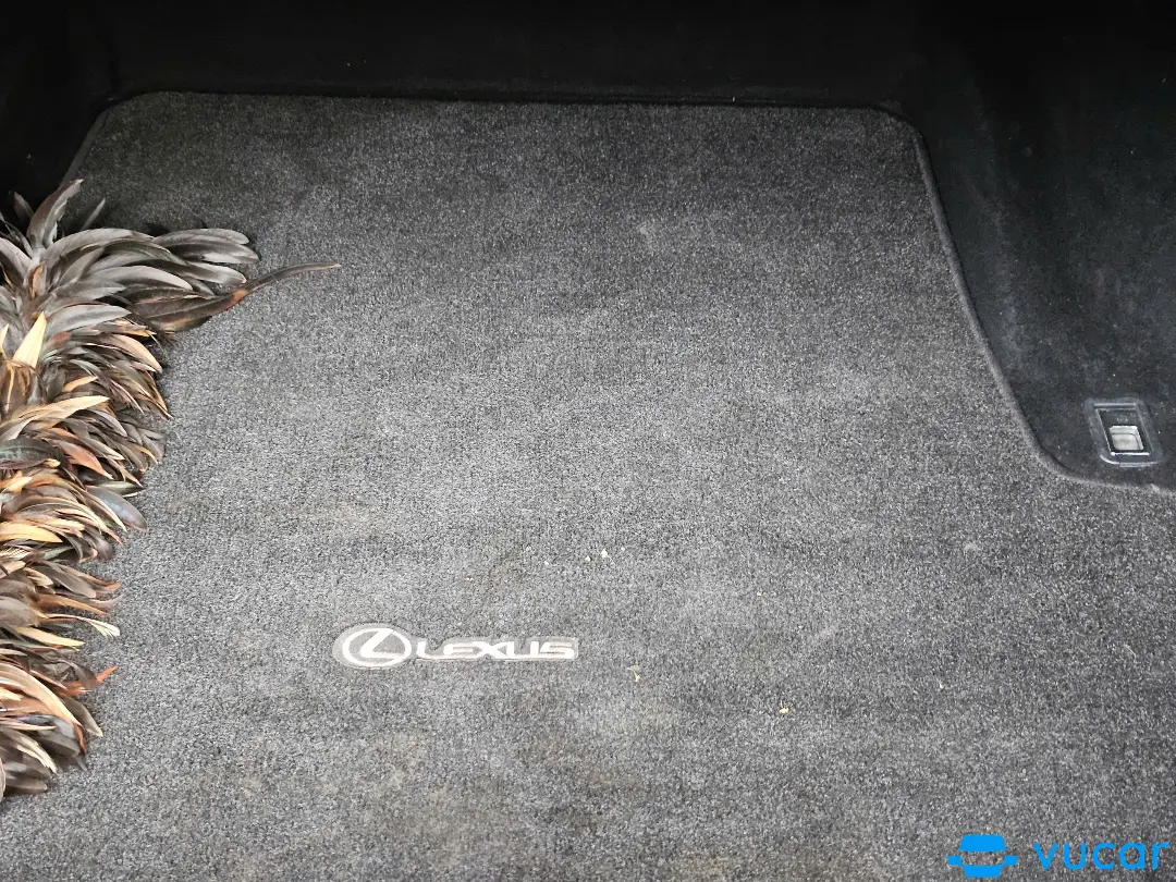 lexus gs 350 mt 2008 - Ngoại thất 8