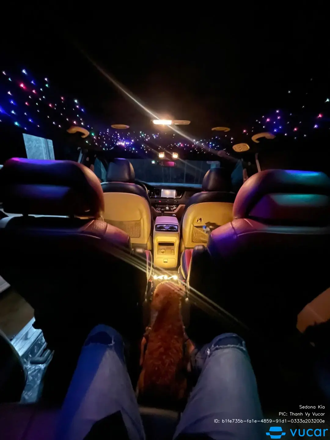 Sedona Kia - Nội thất 3