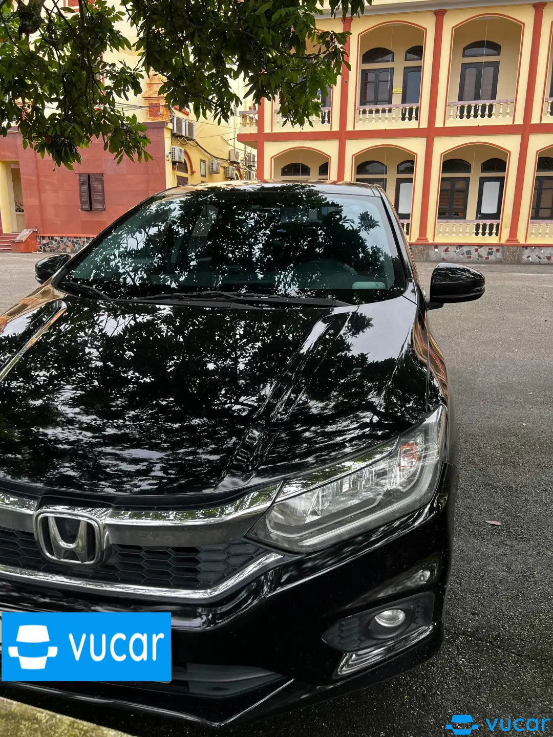 Ảnh xe Honda City 1.5TOP 2019