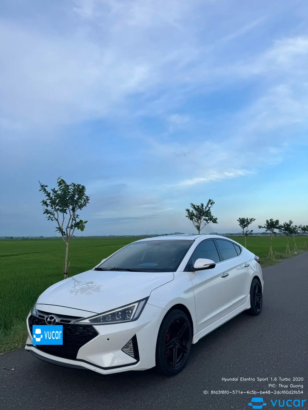 Ảnh xe Hyundai Elantra Sport 1.6 Turbo 2020 - ảnh 6