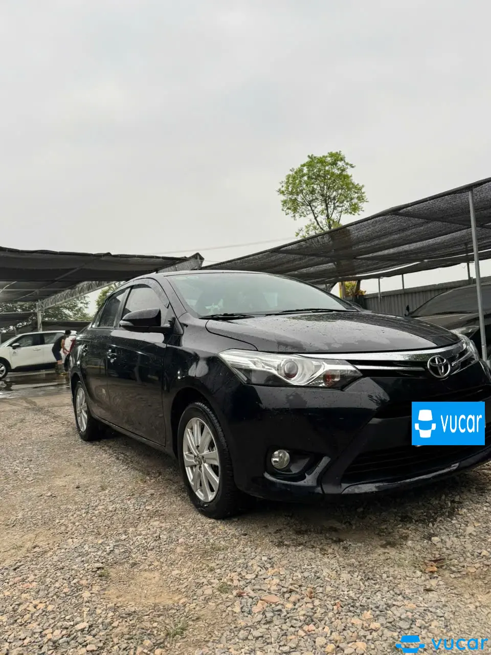 Ảnh xe Toyota Vios 1.5G 2014