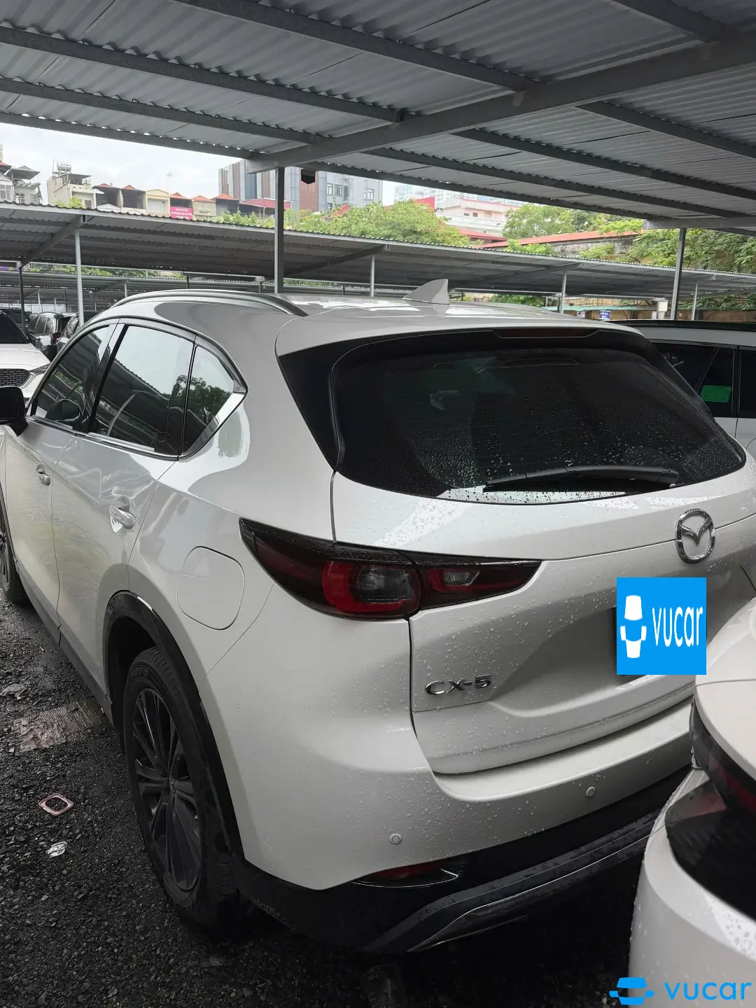 Mazda Cx-5 Premium Sport 2.0 AT 2024 - Ngoại thất 2