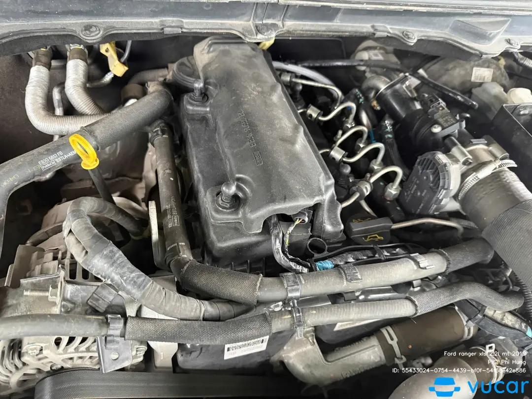 Ford ranger xls 2.2l mt 2019 - Khoang động cơ 5