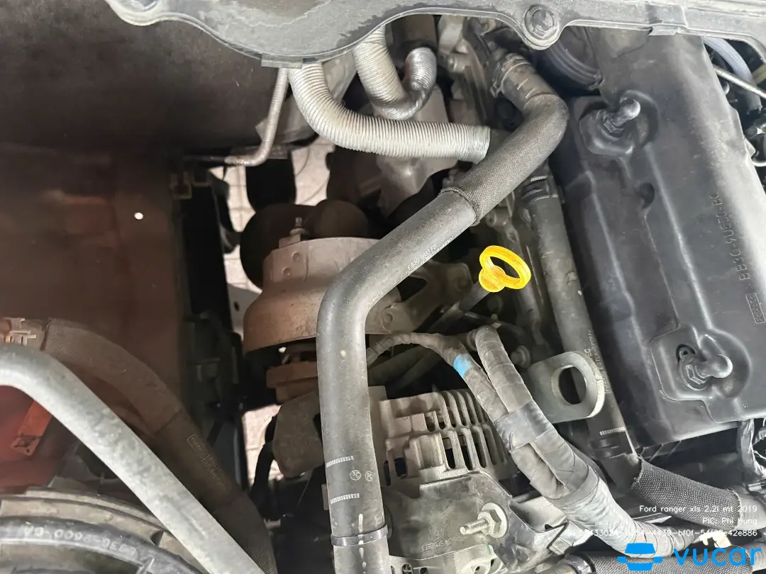 Ford ranger xls 2.2l mt 2019 - Khoang động cơ 4