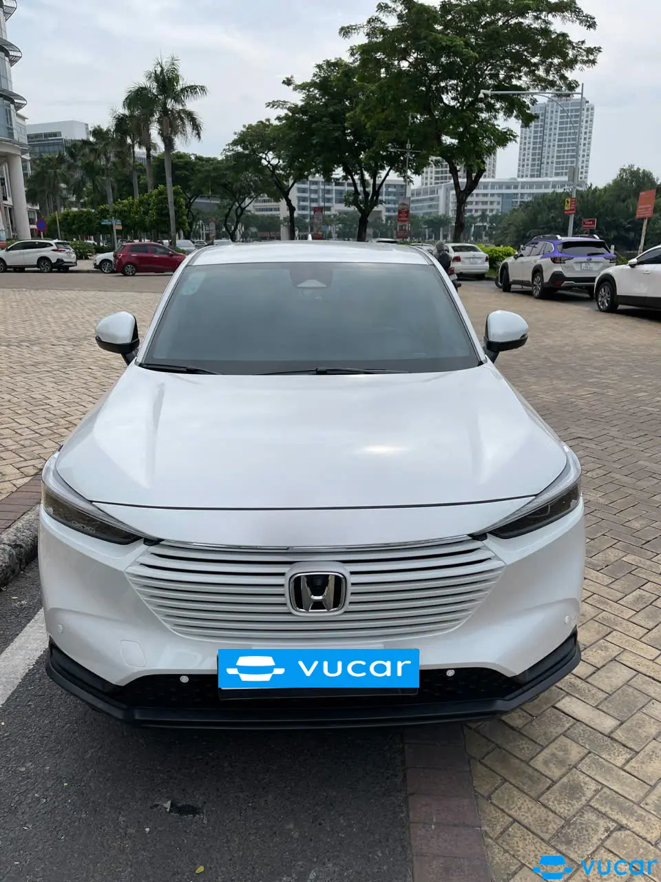 Ảnh xe Honda Hrv G 2024