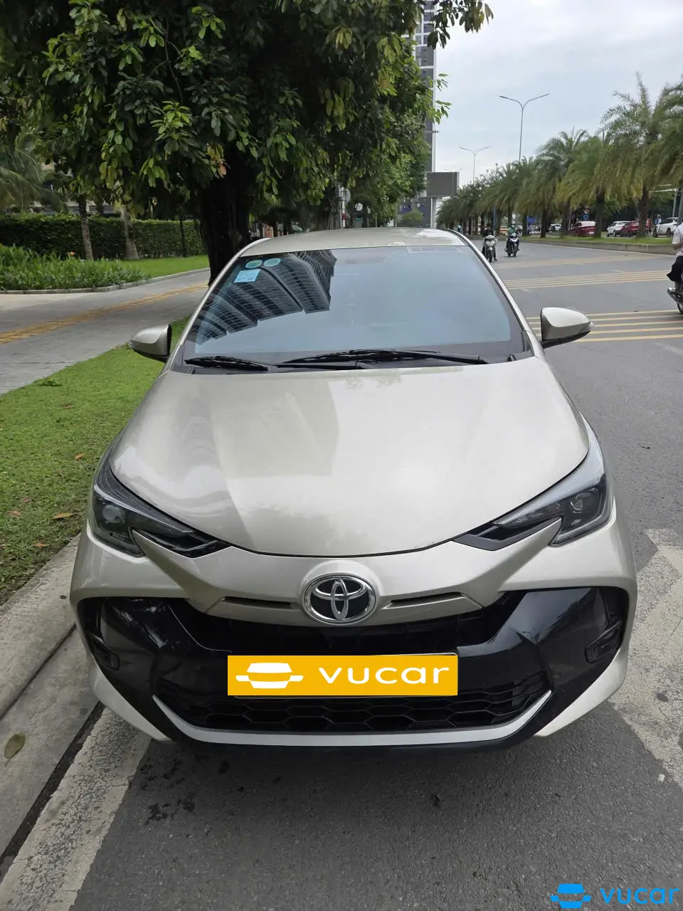 Ảnh xe toyota vos số sàn  2024