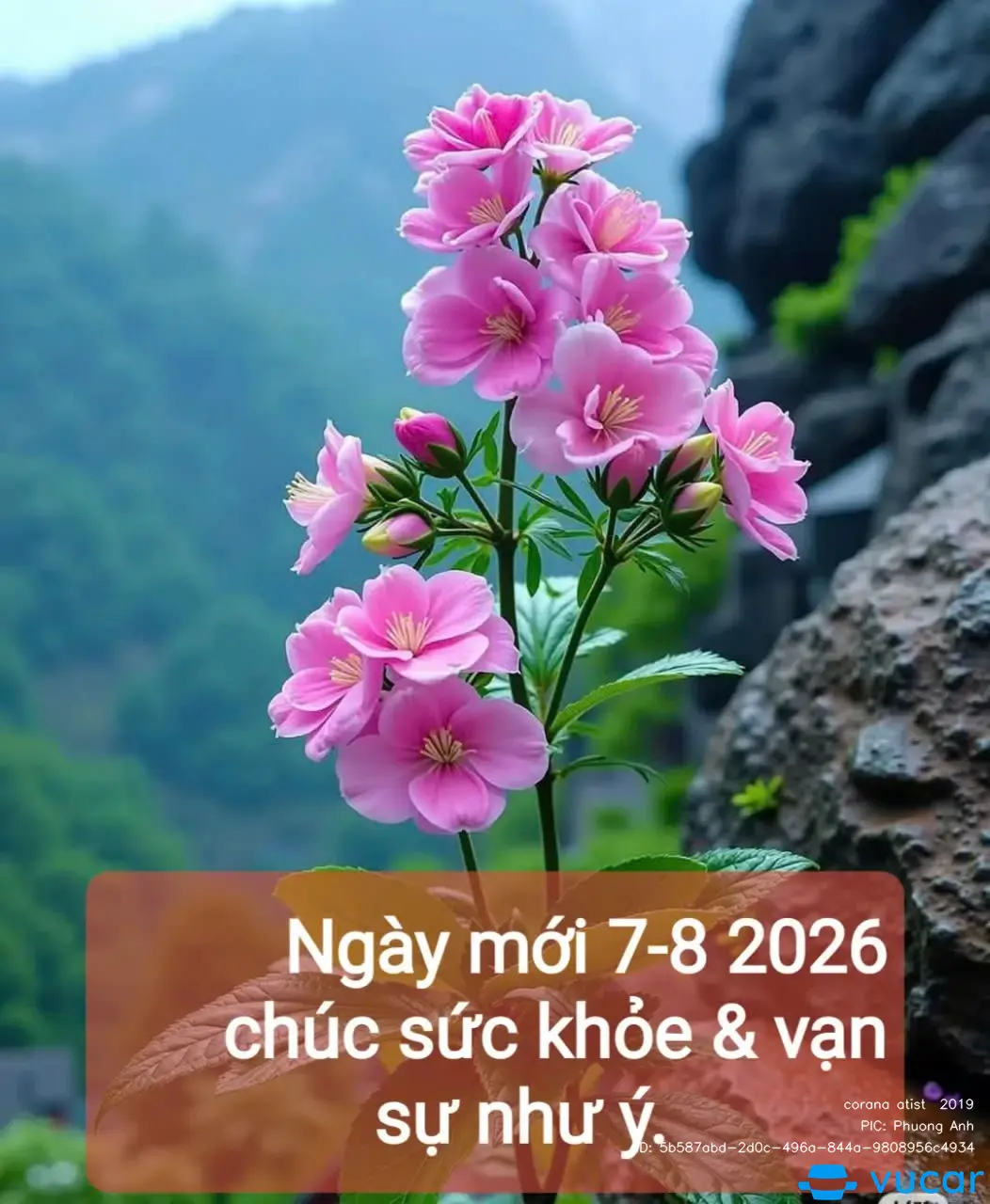 corana atist 2019 - Ngoại thất 8
