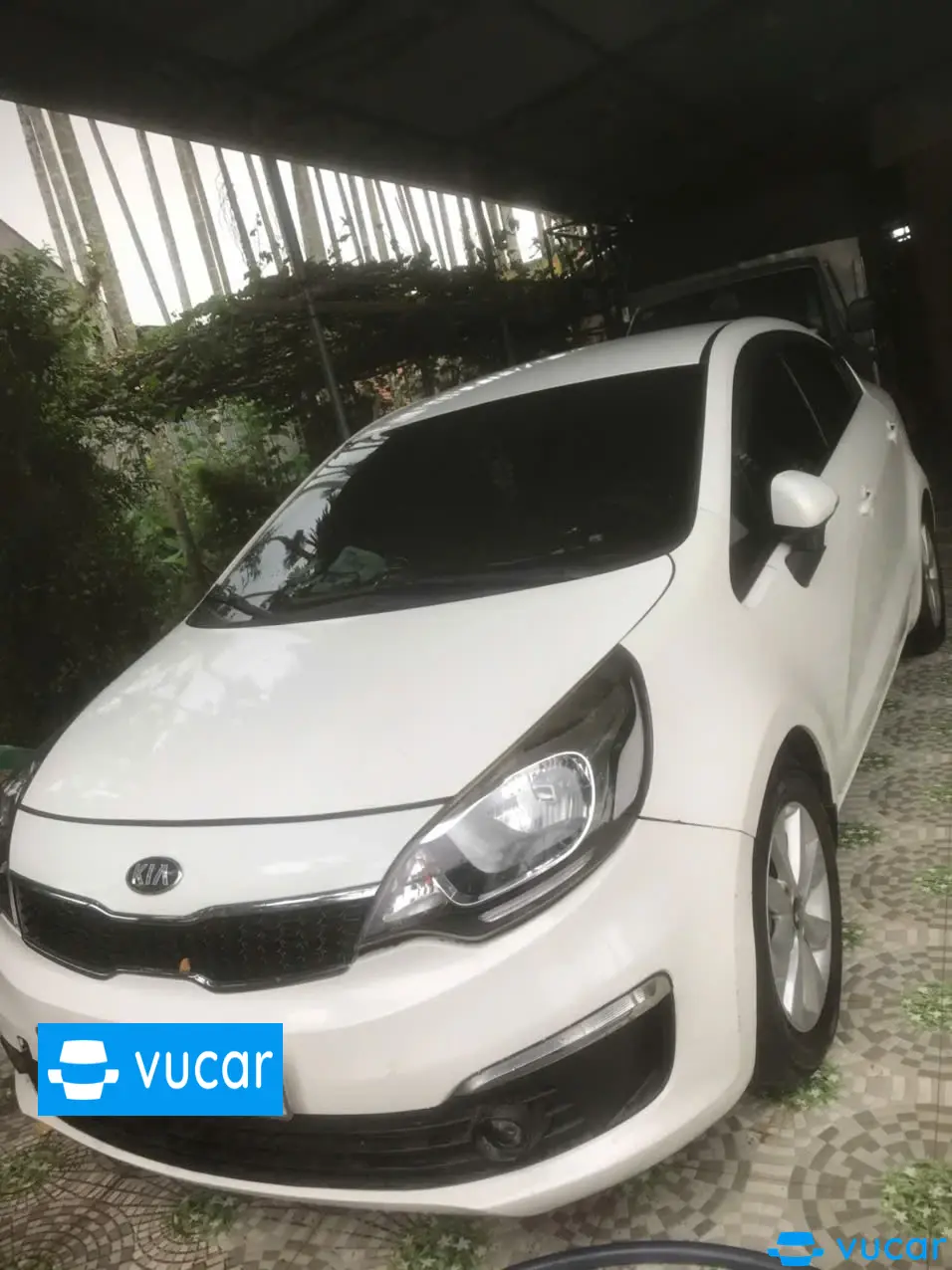 Ảnh xe Kia Rio std 2016 - ảnh 6