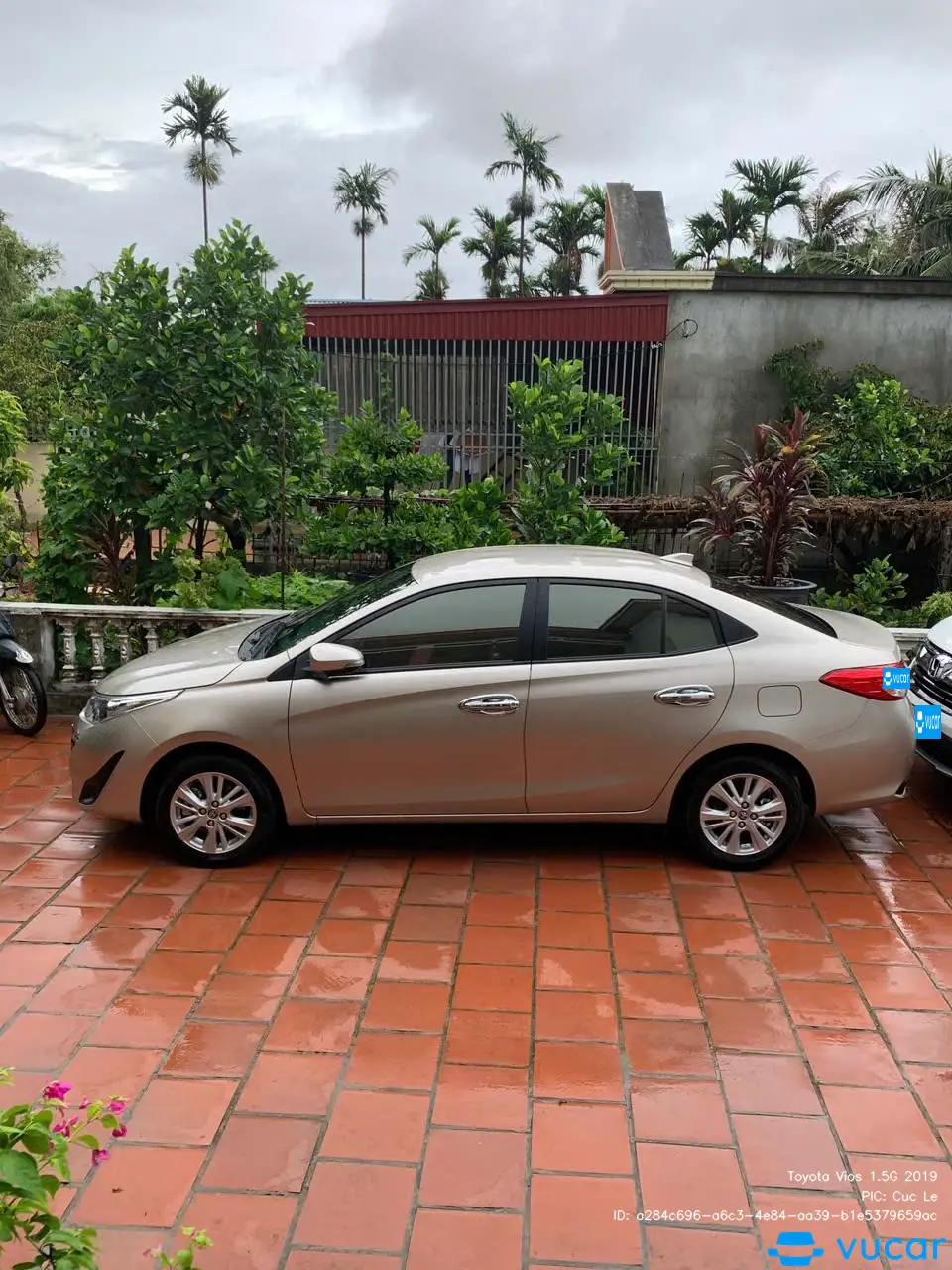 Ảnh xe Toyota Vios 1.5G 2019 - ảnh 2