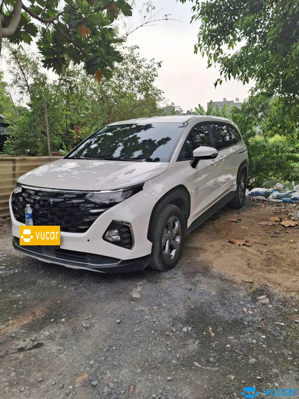 Ảnh xe Hyundai Custin Tiêu Chuẩn 1.5T 2025