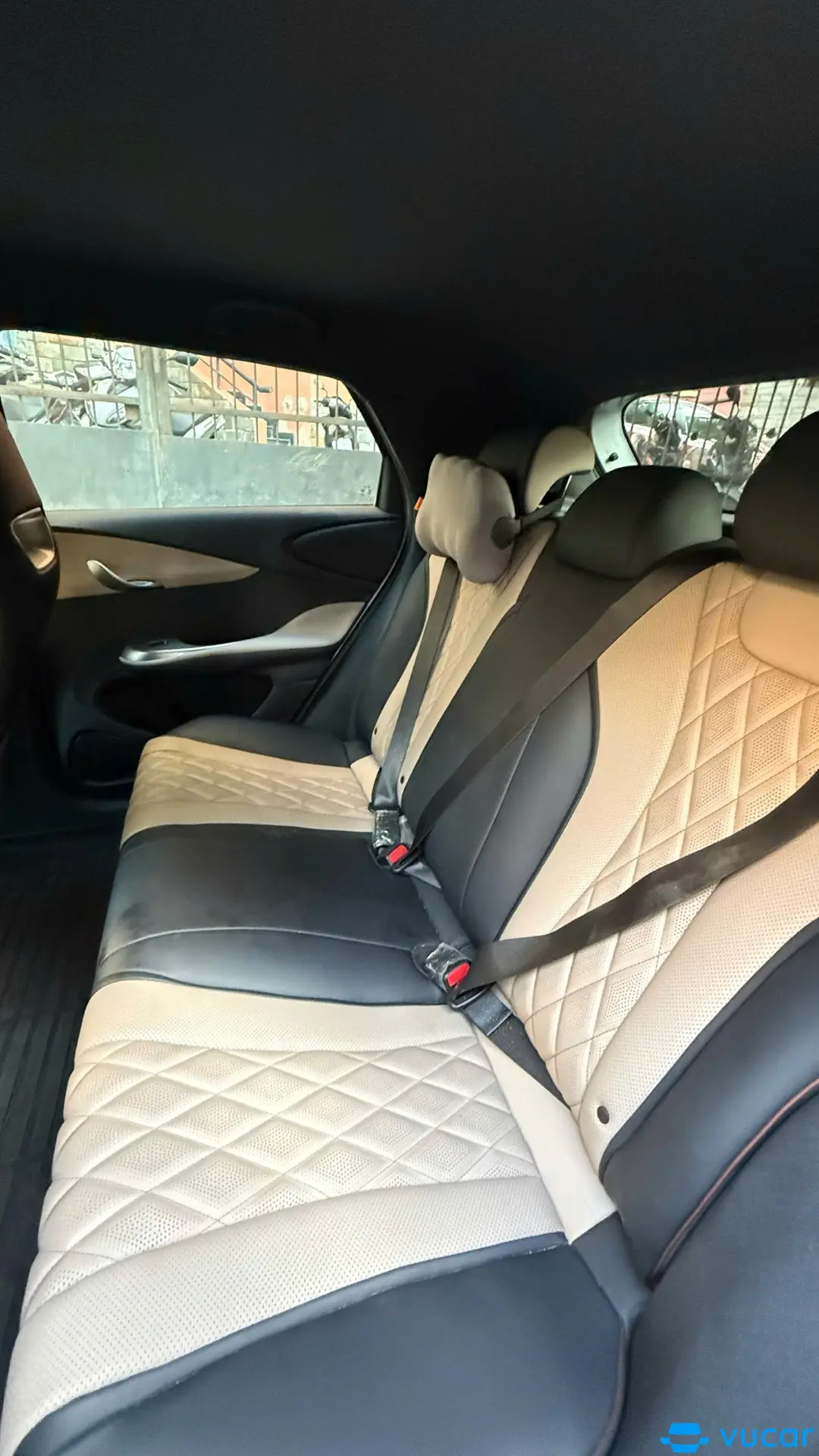 Byd Dolphin GLX 2024 - Nội thất 8