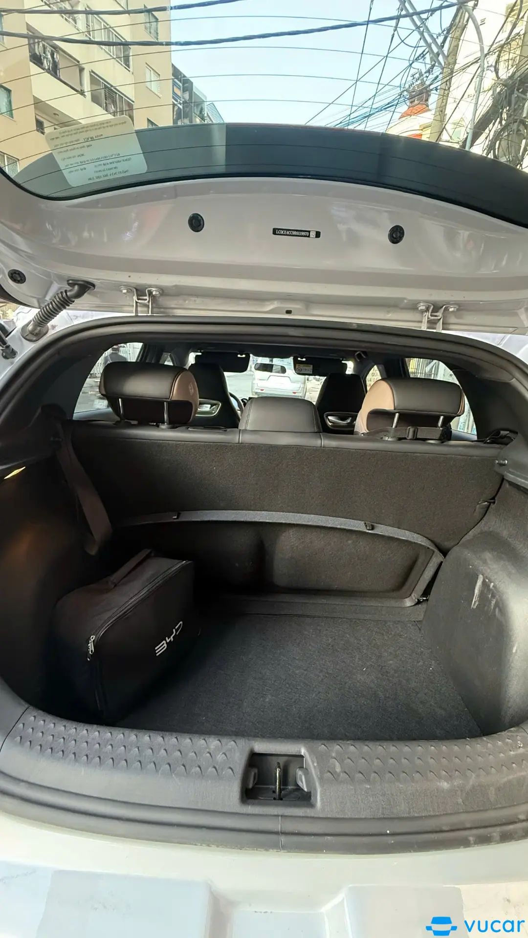 Byd Dolphin GLX 2024 - Nội thất 4