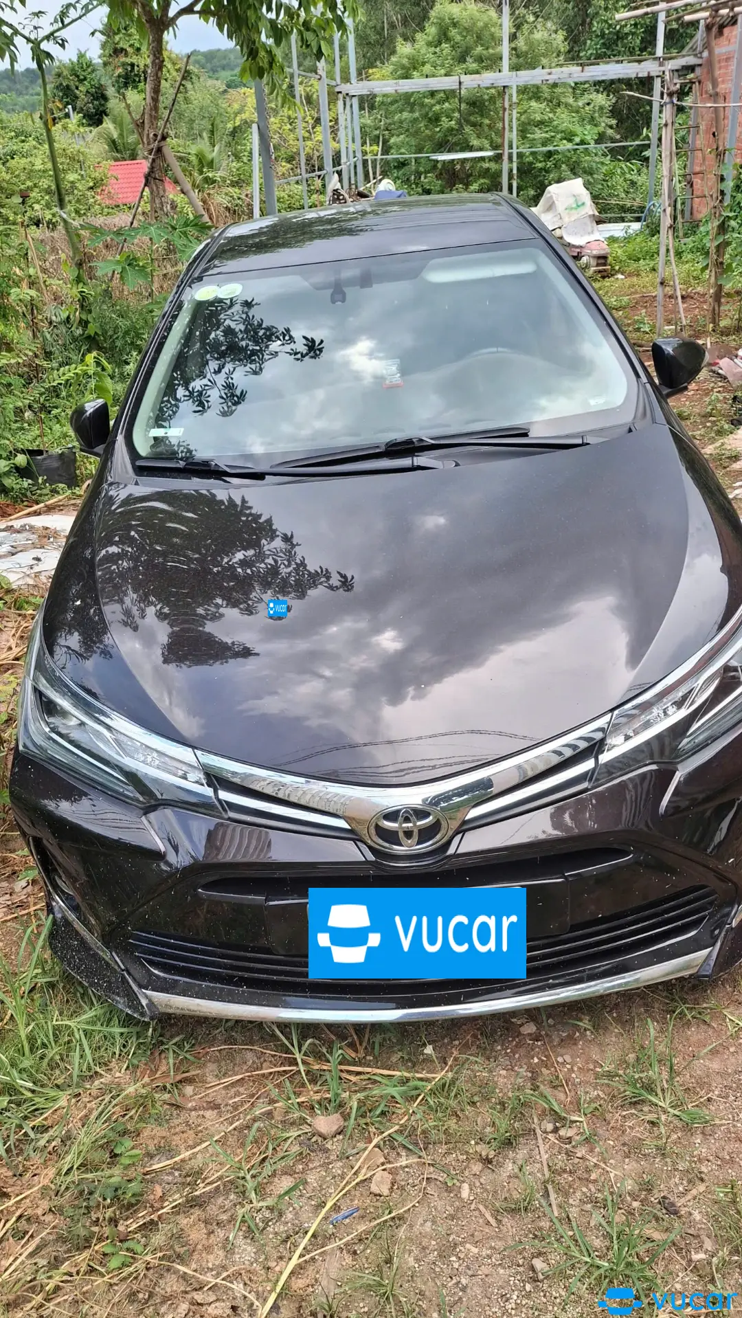 Ảnh xe Toyota Corolla altis 1.8G AT 2020 - ảnh 1
