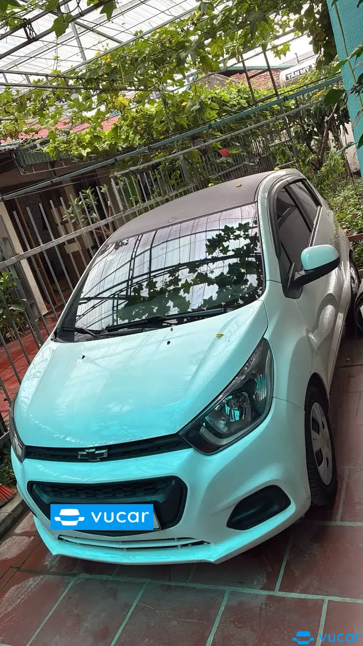 Ảnh xe Chevrolet Spark Duo Van 1.2 MT 2018 - ảnh 3