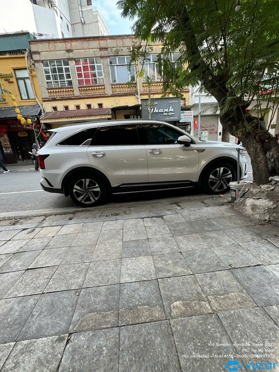 Ảnh xe Kia Sorento signature Diesel 2022 - ảnh 6