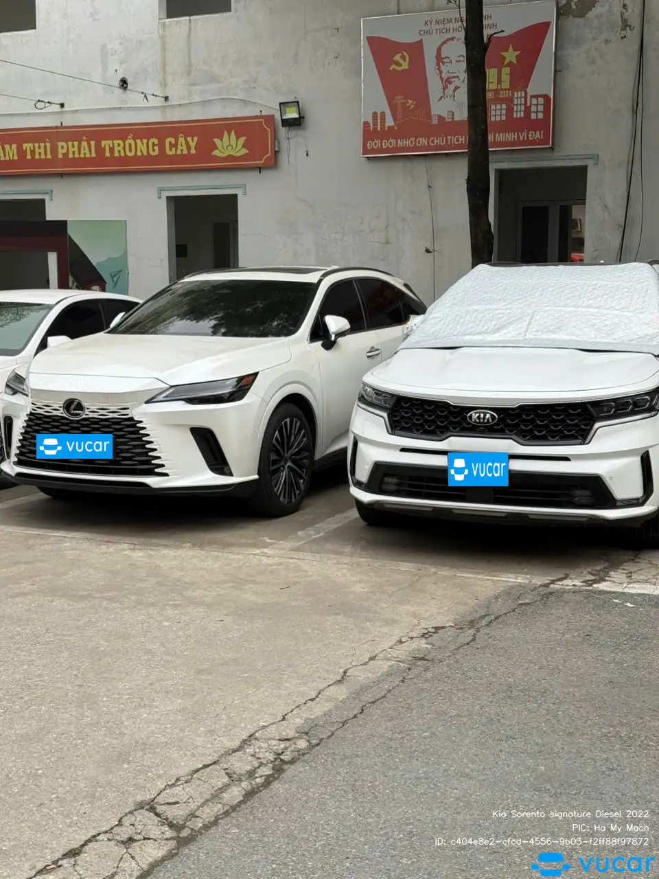 Ảnh xe Kia Sorento signature Diesel 2022 - ảnh 2