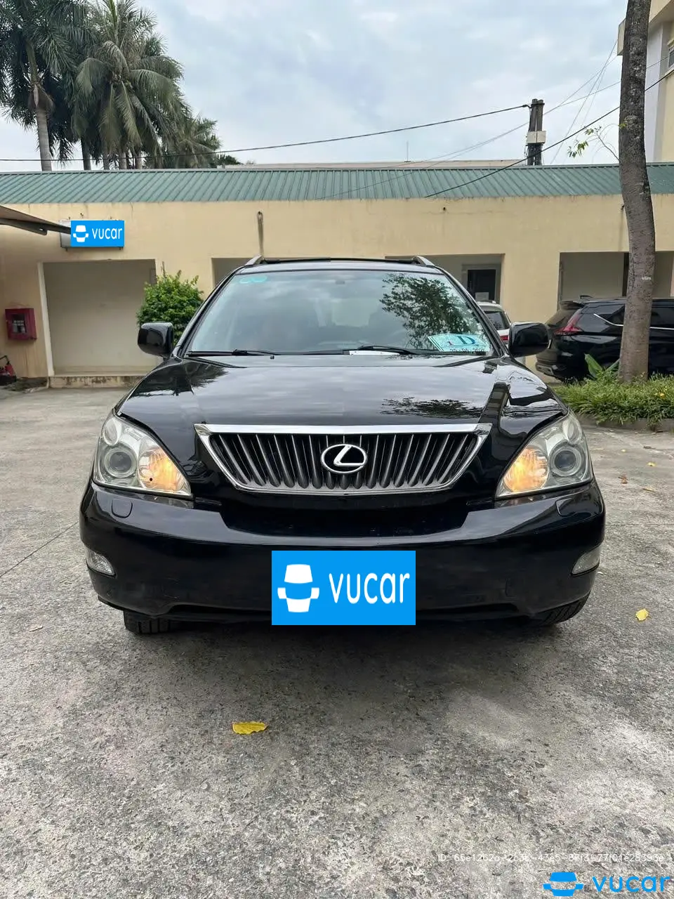Lexus Rx 350 Tiêu chuẩn 2008 - Ngoại thất 5