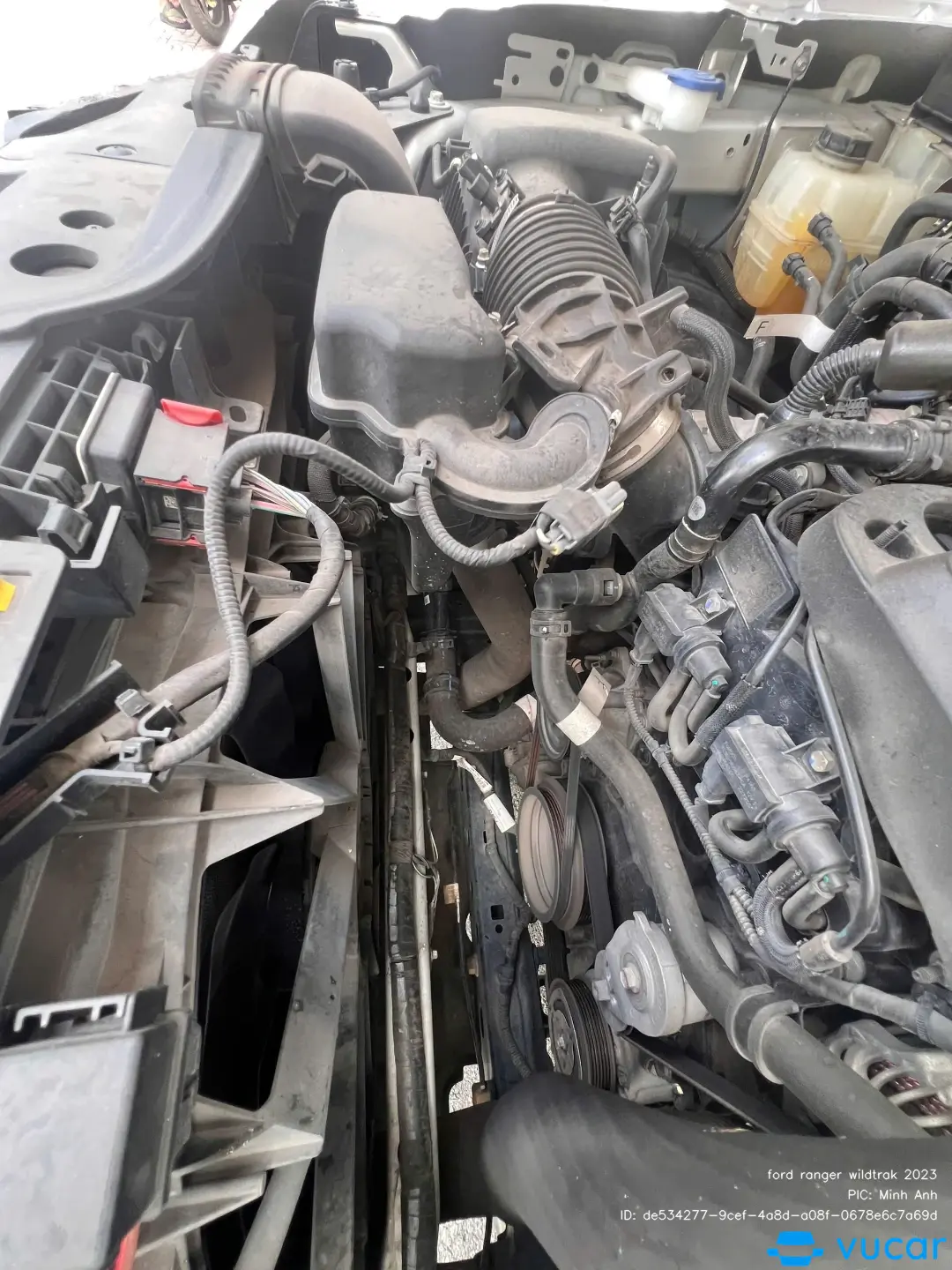 ford ranger wildtrak 2023 - Khoang động cơ 2