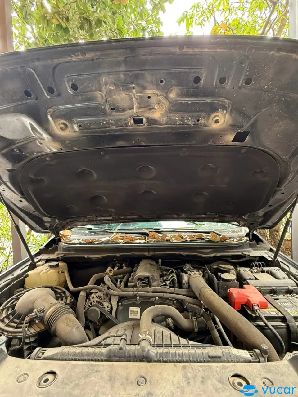 Ford Ranger XLS 2.2L 4x2 AT 2021 - Khoang động cơ 3
