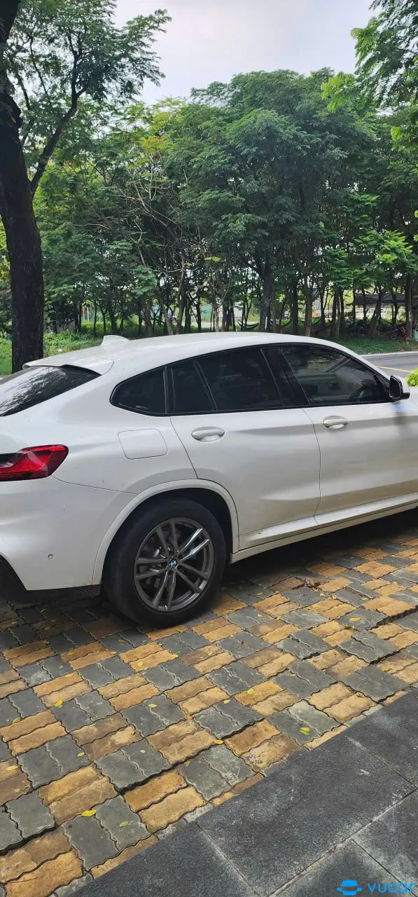 Ảnh xe BMWX4 MSPORT WHITE 2020 - ảnh 3
